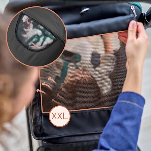 LIONELO MIRA Carrito Bebé, con Ruedas 360° y Amortiguación Total, Capota UPF50+, Reclinable, hasta 22 kg